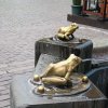 torun 74